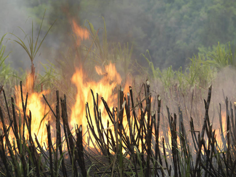 无人,农田,横图,室外,白天,正面,热情,庄稼,农作物,美景,山,山脉,火,牙买加,火焰,景观,山峰,山峦,燃烧,自然,群山,景色,南美,南美洲,拉丁美洲,火灾,灾难,自然风光,美洲,亚美利加洲,南亚美利加洲,劫难,磨难,灾祸,彩图,耕地,庄稼田,灾害