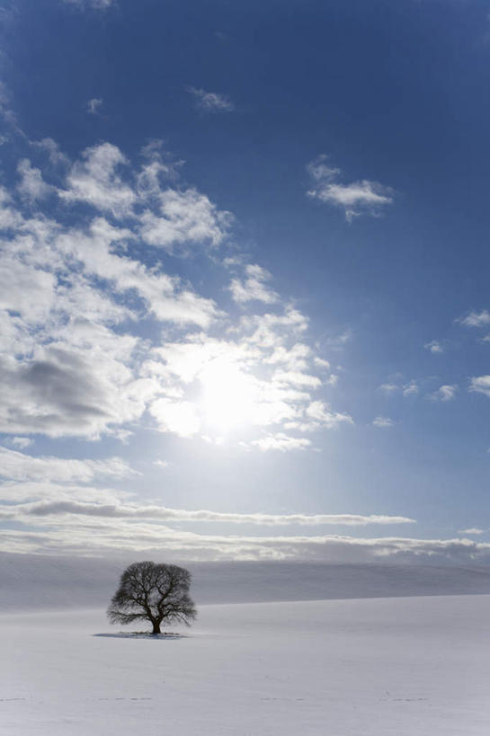 无人,农田,竖图,室外,白天,正面,旅游,度假,庄稼,农作物,美景,雪,植物,大雪,英国,欧洲,阴影,光线,影子,积雪,景观,雪景,云,云朵,冬季,冬天,云彩,娱乐,英格兰,树,树木,蓝色,绿色,白云,蓝天,天空,阳光,自然,天,享受,休闲,景色,放松,寒冷,生长,晴朗,成长,西欧,自然风光,大不列颠,大不列颠及北爱尔兰联合王国,严寒,大不列颠联合王国,日不落英帝国,英吉利,萨默塞特郡,萨默塞特,晴空,彩图,耕地,庄稼田