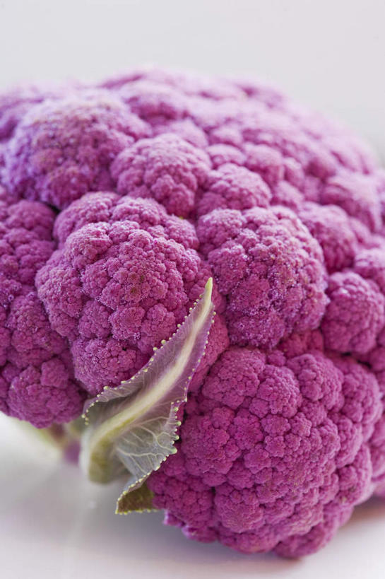 无人,竖图,俯视,室内,特写,白天,白色背景,蔬菜,朦胧,模糊,新鲜,花菜,花椰菜,西兰花,食品,食物,一个,紫色,摄影,有机食品,绿色食品,影棚,椰菜花,甘蓝花,彩图,高角度拍摄,影棚拍摄,拍摄