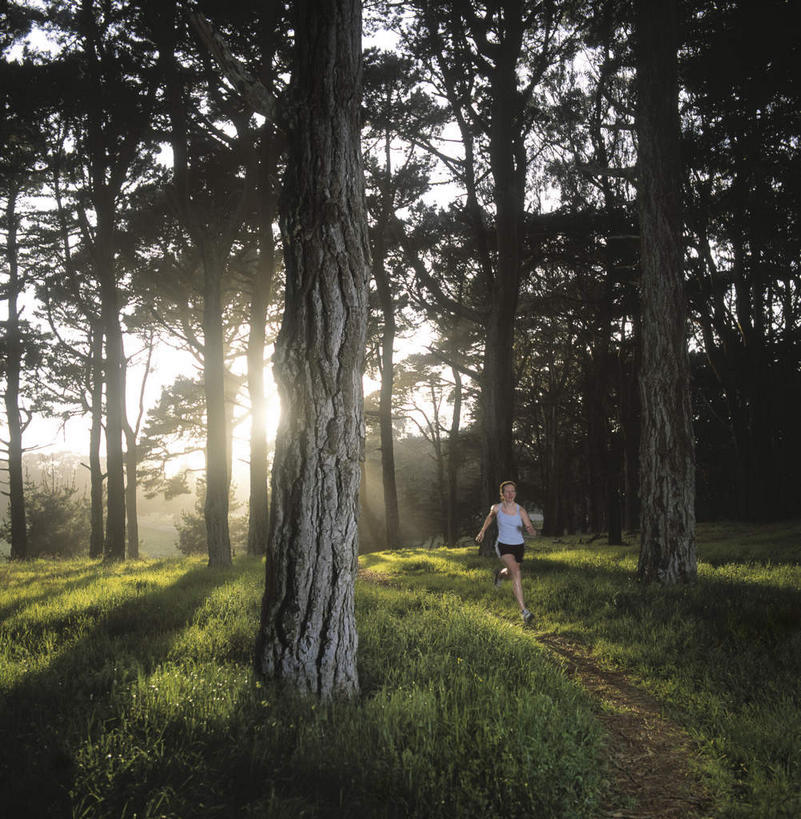 西方人,一个人,跑,竖图,室外,白天,正面,运动服,锻炼,旅游,度假,运动,草地,草坪,美景,树林,植物,城市,道路,路,欧洲,美国,欧洲人,仅一个年轻女性,仅一个女性,仅一个人,阴影,服装,光线,影子,景观,小路,交通,注视,娱乐,草,树,树木,衣服,绿色,阳光,自然,观察,看,享受,休闲,景色,放松,服饰,乡间小路,生长,成长,观看,察看,北美,北美洲,国家公园,衣着,穿着,关注,加利福尼亚,自然风光,美洲,旧金山,加州,加利福尼亚州,圣弗朗西斯科,三藩市,金州,黄金州,北亚美利加洲,亚美利加洲,衣饰,金门公园,旧金山金门公园,体育,年轻女性,女人,女性,白种人,跑步,彩图,全身,健身,运动装