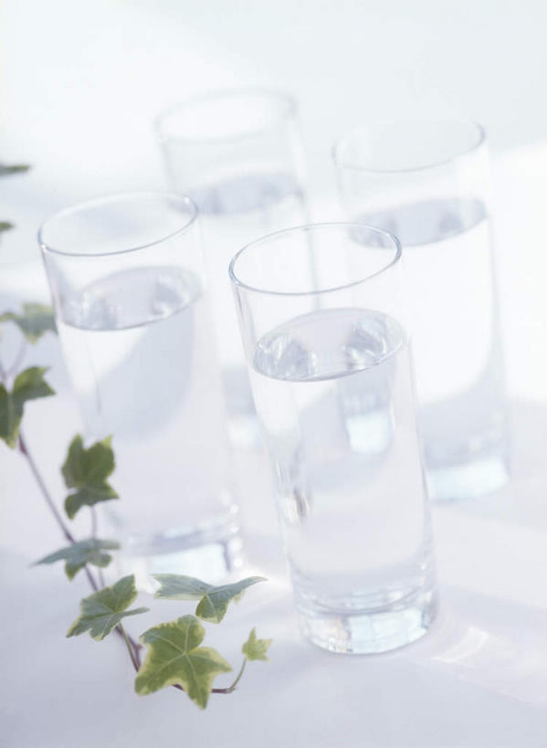 无人,攀登,竖图,俯视,室内,特写,白天,白色背景,水,植物,静物,杯子,叶子,透明,纹理,液体,绿叶,饮用水,玻璃制品,绿色,水杯,矿泉水,嫩叶,摄影,影棚,蒸馏水,肌理,通明,叶,叶片,叶脉,玻璃杯,攀爬,彩图,高角度拍摄,影棚拍摄,拍摄,攀缘