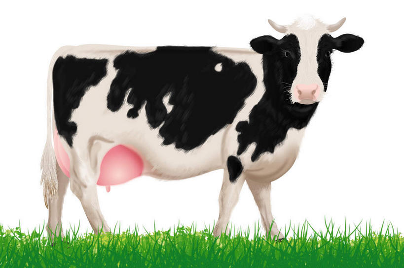 乳头,无人,站,横图,插画,室内,白天,白色背景,正面,数码,科技,草地,草坪,植物,牛,阴影,花纹,网络,高光,几何,计算机图形,合成,图画,扭头,注视,画,草,绿色,动物,观察,看,站着,转头,家畜,牲畜,观看,电脑合成图,数码合成图,察看,关注,漫画,写实,具体,具象,奶牛,站立,彩图,全身