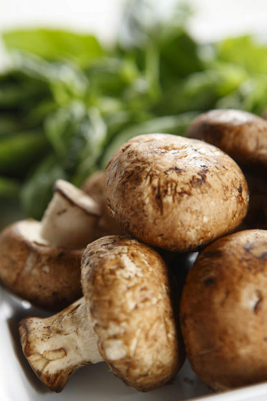 无人,竖图,室内,特写,白天,背景,正面,蔬菜,叶子,朦胧,模糊,新鲜,装饰,菌菇,蘑菇,食品,绿叶,菌类,食物,嫩叶,食用菌,有机食品,绿色食品,修饰,虚化,点缀,衬托,美观,雅致,雅观,配景,叶,叶片,彩图