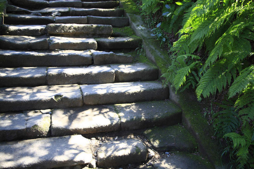 无人,横图,俯视,室外,白天,旅游,度假,美景,楼梯,叶子,神奈川,日本,亚洲,阴影,光线,影子,阶梯,景观,绿叶,神奈川县,娱乐,台阶,绿色,阳光,自然,享受,休闲,嫩叶,景色,放松,上升,自然风光,东亚,本州,关东地方,本州岛,日本国,爬升,攀升,叶,叶片,彩图,高角度拍摄