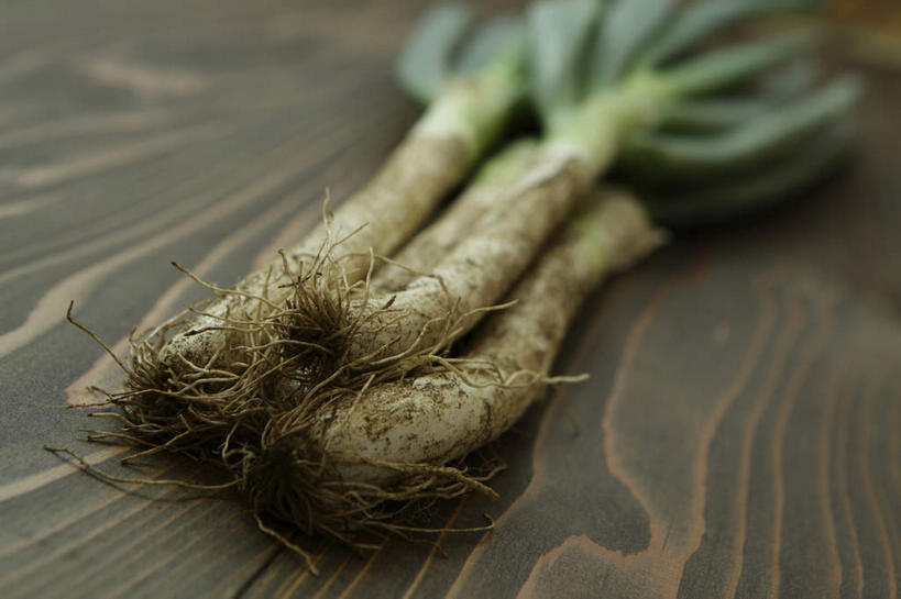 无人,横图,俯视,室内,特写,白天,餐桌,地板,桌子,蔬菜,朦胧,模糊,新鲜,木制,葱,青葱,食品,地面,四根,木地板,食物,木制品,须,有机食品,绿色食品,餐台,彩图,高角度拍摄