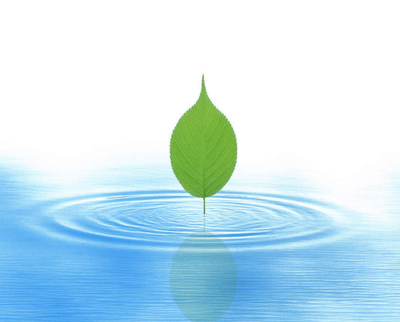 无人,横图,室内,白天,正面,数码,科技,河流,水,植物,叶子,一片,阴影,波纹,生气,反射,网络,影子,河水,水滴,水流,绿叶,涟漪,高光,几何,计算机图形,合成,蓝色,绿色,倒影,水纹,自然,波浪,嫩叶,活力,朝气,生长,成长,生机,希望,映射,电脑合成图,数码合成图,水晕,写实,具体,具象,映照,叶,叶片,彩图