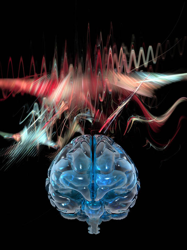 无人,竖图,插画,室内,白天,正面,数码,科技,大脑,阴影,黑色背景,梦幻,发光,光束,科学,网络,医学,纹路,纹理,线条,光亮,高光,几何,计算机图形,合成,图画,画,一个,红色,蓝色,单个,电脑合成图,数码合成图,医疗,科学技术,未来,器官,合成图,发亮,沟壑,漫画,脑电波,憧憬,波动,小脑,脑干,肌理,写实,具体,具象,大脑皮层,端脑,沟,灰质,回,间脑,彩图