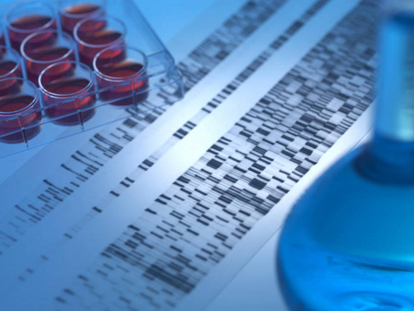 无人,横图,俯视,室内,特写,白天,实验,仪器,水,一排,许多,阴影,蓝色背景,研究,整齐,并列,并排,透明,反射,分析,科学,化学,基因,测试,圆形,培养皿,烧瓶,图形,液体,影子,圆,实验室,水滴,研究室,很多,几何,玻璃制品,排列,蓝色,玻璃瓶,瓶子,橙色,器皿,生物,摄影,影棚,遗传,脱氧核糖核酸,队列,数学,平行,试验室,皮氏培养皿,试验耗材,实验用品,化学器材,平底烧瓶,DNA分子,去氧核糖核酸,遗传信息,遗传因子,遗传学,彩图,高角度拍摄,影棚拍摄,拍摄,几何图形,平面图形,DNA图谱,基因图,基因图谱