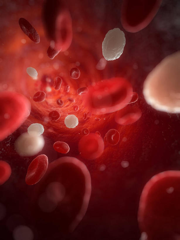 血管,毛细血管,无人,竖图,插画,室内,白天,正面,兴奋,热情,数码,科技,微生物,阴影,科学,网络,红血球,细胞,高光,几何,计算机图形,开放,合成,图画,画,红色,白色,健康,温暖,血液,奔放,活力,积极,激情,朝气,暖色,吉祥,电脑合成图,数码合成图,生物学,血细胞,生命,合成图,漫画,饱满,白细胞,写实,具体,具象,革命,红细胞,白血球,热烈,赤色,充实,斗志,喜气,主动,自然科学,博物学,生物科学,彩图,欢乐,免疫细胞,白血细胞