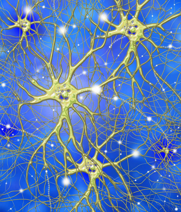 无人,竖图,插画,室内,白天,正面,数码,科技,静物,阴影,蓝色背景,网络,医学,细胞,高光,几何,计算机图形,合成,图画,画,人体,电脑合成图,数码合成图,生物学,漫画,生理学,写实,具体,具象,神经细胞,神经末梢,彩图,神经系统