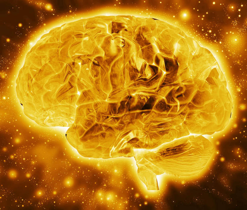 无人,横图,插画,室内,白天,正面,数码,科技,大脑,许多,阴影,网络,很多,高光,几何,计算机图形,合成,图画,光点,画,黄色,电脑合成图,数码合成图,器官,沟壑,漫画,小脑,脑干,写实,具体,具象,大脑皮层,端脑,沟,灰质,回,间脑,彩图