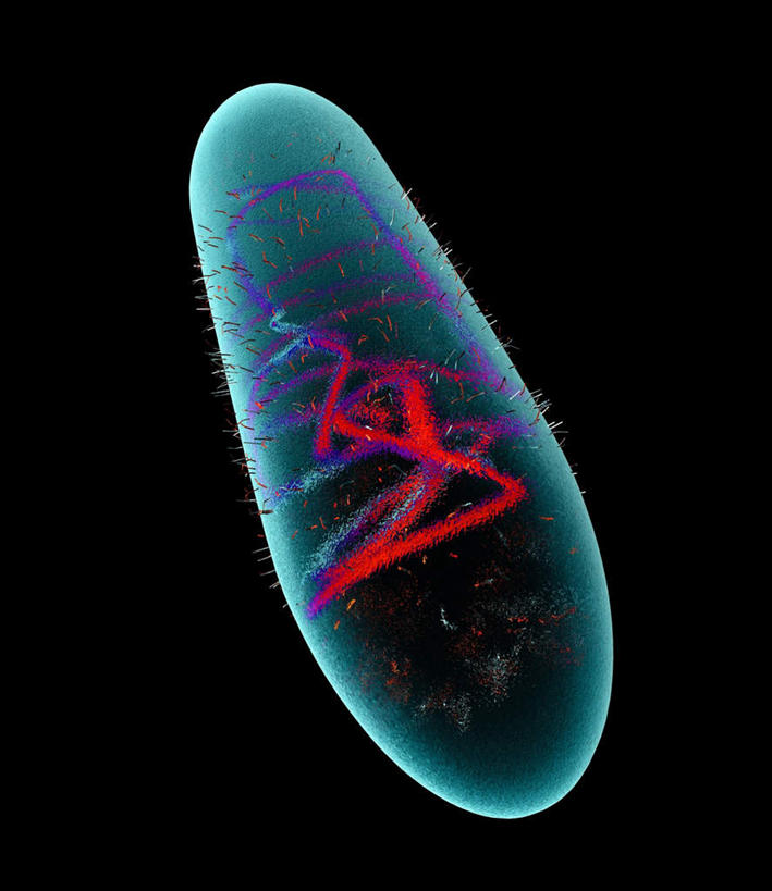 无人,竖图,室内,特写,白天,正面,数码,科技,一堆,连接,阴影,堆叠,堆积,黑色背景,组合,环绕,缠绕,网络,细胞,高光,几何,计算机图形,球形,合成,球体,堆,链接,电脑合成图,数码合成图,拼接,拼凑,纠缠,写实,具体,具象,拼合,凑集,聚合,撮合,链结,球菌,脚底,彩图,芽孢菌