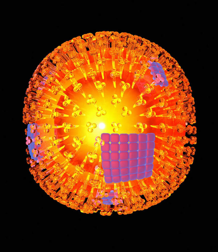 无人,竖图,插画,室内,白天,正面,数码,科技,阴影,网络,医学,圆形,颗粒,高光,几何,计算机图形,放射,合成,图画,画,橙色,电脑合成图,数码合成图,病毒,生物学,漫画,生理学,写实,具体,具象,流感病毒,彩图