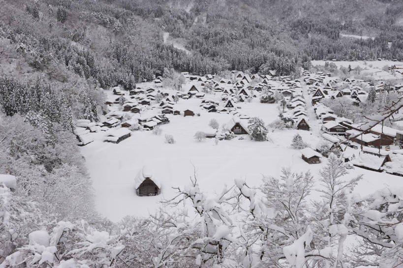 无人,家,木屋,横图,黑白,室外,白天,正面,旅游,度假,美景,山,山脉,树林,雪,植物,大雪,日本,亚洲,积雪,景观,山峰,雪景,冬季,冬天,山峦,娱乐,住宅,树,树木,绿色,自然,群山,享受,休闲,景色,放松,寒冷,生长,成长,自然风光,东亚,本州,本州岛,日本国,中部地方,岐阜,岐阜县,严寒,茅舍,茅屋,棚屋,小木屋,小屋,大野郡,白川村