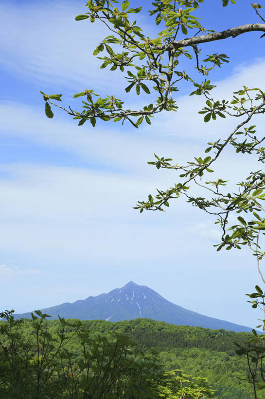 无人,竖图,室外,白天,正面,旅游,度假,美景,森林,山,山脉,树林,植物,日本,亚洲,阴影,光线,影子,景观,山峰,云,云朵,山峦,云彩,娱乐,树,树木,蓝色,绿色,白云,蓝天,天空,阳光,自然,群山,天,享受,休闲,景色,放松,生长,晴朗,成长,自然风光,东亚,本州,本州岛,日本国,青森,青森县,东北地方,晴空,彩图,北津轻郡