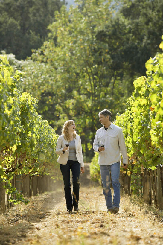 红酒,葡萄酒,西方人,两个人,夫妻,果园,站,走,说,竖图,室外,白天,正面,爱情,快乐,幸福,森林,树林,田园,植物,杯子,欧洲,美国,欧洲人,握,服装,高脚杯,红酒杯,酒类,浪漫,拿,拿着,注视,牛仔裤,休闲装,葡萄园,玻璃制品,酒,树,树木,饮料,衣服,绿色,自然,酒杯,庄园,观察,看,站着,休闲,温暖,温馨,休闲服,红葡萄酒,恩爱,握着,恋人,服饰,生长,成长,观看,酒庄,和睦,察看,北美,北美洲,关注,美洲,加州,加利福尼亚州,交流,男人,男性,年轻女性,女人,女性,中年男性,白种人,情侣,玻璃杯,步行,沟通,讲话,交谈,散步,说话,谈话,站立,走路,彩图,全身,高兴,愉快,伴侣,融洽