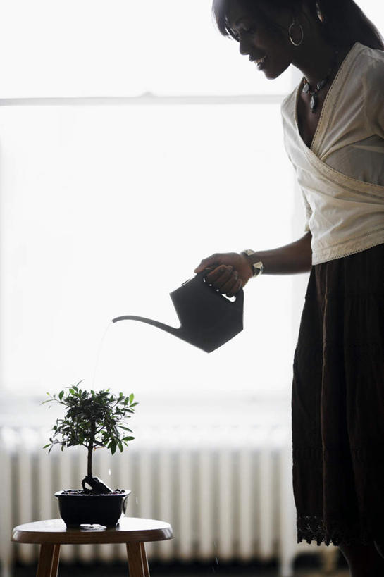 西方人,一个人,商务人士,商务女性,站,竖图,室内,白天,侧面,裙子,太阳,植物,窗户,落地窗,椅子,欧洲,非洲,黑人,欧洲人,仅一个年轻女性,仅一个女性,仅一个人,握,阴影,套装,光线,盆栽,影子,凳子,盆景,拿,拿着,注视,长裙,浇水,玻璃窗,水壶,绿色,阳光,自然,观察,看,站着,握着,生长,成长,观看,察看,关注,商务装,暖气,工薪阶层,年轻女性,女人,女性,非洲人,白领,上班族,站立,半身,彩图