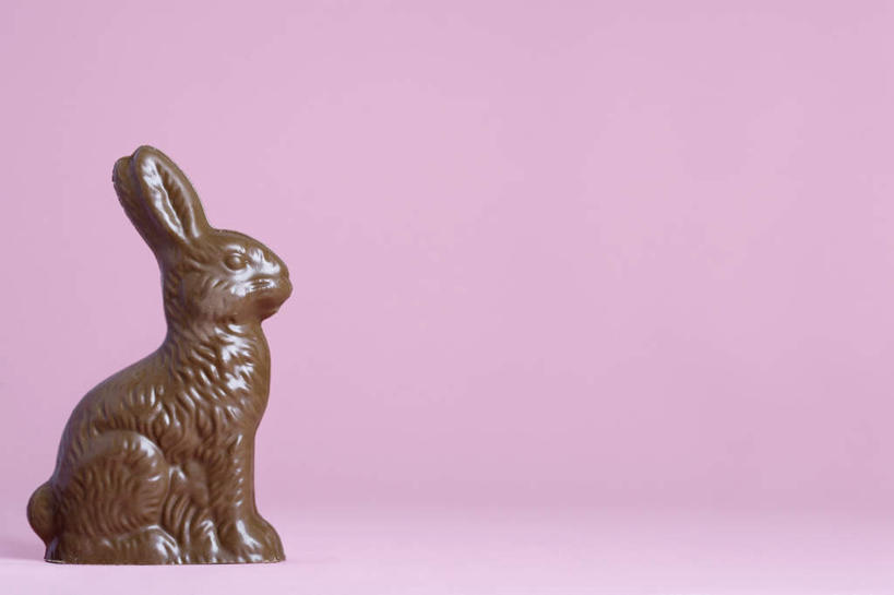 无人,坐,横图,室内,特写,白天,侧面,桌面,桌子,野生动物,静物,雕塑,复活节,粉色背景,节日,庆祝,艺术,装饰,木制,兔子,雕刻,雕像,食品,糖,糖果,甜点,甜品,褐色,文化,食物,一个,动物,木制品,工艺品,甜食,巧克力,庆典,可爱,摄影,活泼,影棚,单个,纪念,朱古力,美术,主题,陈列,复活节兔子,功能,美学,坐着,彩图,全身,影棚拍摄,拍摄