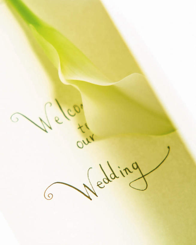 无人,竖图,室内,特写,白天,正面,婚礼,快乐,纯洁,马蹄莲,阴影,朦胧,模糊,庆祝,装饰,光线,标志,文字,信封,影子,字符,字母,结婚,标识,虔诚,阳光,喜庆,纪念,希望,优雅,华丽,修饰,点缀,高贵,邀请,请帖,纯净,马蹄兰,博爱,永恒,尊贵,高洁,慈菇花,衬托,美观,雅致,雅观,圣洁,水芋,水芋马,彩图,高兴,请柬