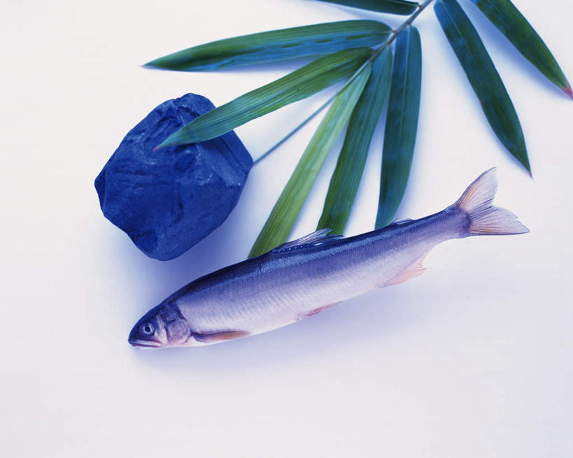 海鲜,无人,横图,俯视,室内,白天,烹饪,鳟鱼,叶子,一条,鱼,竹叶,日本料理,料理,食品,绿叶,水产,菜肴,美食,食物,日式料理,日式,嫩叶,佳肴,海产品,鮅,赤眼鱼,红目鳟,红眼棒,叶,叶片,野草鱼,彩图,高角度拍摄