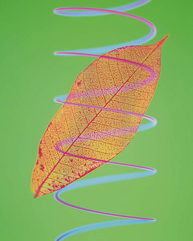 无人,竖图,室内,特写,白天,正面,零件,数码,科技,静物,叶子,一片,绿色背景,阴影,网络,弹簧,工具,绿叶,高光,几何,计算机图形,合成,一个,嫩叶,工业,机械工程,电脑合成图,数码合成图,工程,写实,具体,具象,叶,叶片,彩图