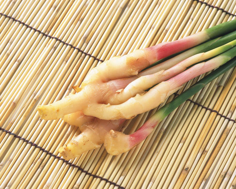 无人,横图,俯视,室内,特写,白天,白色背景,竹子,姜,蔬菜,叶子,一堆,一排,许多,堆叠,堆积,新鲜,整齐,席子,食品,绿叶,食物,排列,黄色,嫩叶,紫姜,摄影,有机食品,绿色食品,影棚,堆,队列,止咳,止痛,解毒,发汗,温肺,温胃,行气,止呕,百辣云,子姜,叶,叶片,生姜,老姜,彩图,高角度拍摄,影棚拍摄,拍摄,散寒