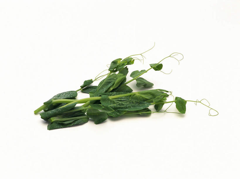无人,横图,俯视,室内,特写,白天,白色背景,植物,蔬菜,叶子,许多,新鲜,食品,绿叶,豆苗,食物,嫩叶,摄影,有机食品,绿色食品,影棚,生长,成长,豌豆苗,豌豆藤,叶,叶片,彩图,高角度拍摄,影棚拍摄,拍摄