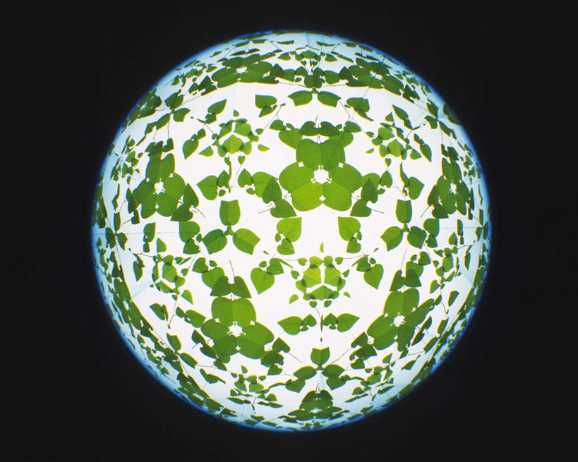 无人,横图,室内,特写,白天,正面,植物,万花筒,叶子,黑色背景,花纹,条纹,整齐,围绕,结构,圆形,图案,绿叶,排列,一个,绿色,白色,框架,嫩叶,摄影,影棚,生长,单个,成长,轮廓,耀眼,明亮,队列,叶,叶片,彩图,影棚拍摄,拍摄