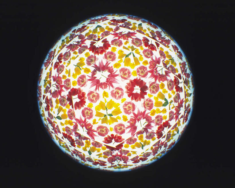 无人,横图,室内,特写,白天,正面,游戏,静物,玩具,万花筒,黑色背景,花纹,艺术,盛开,反射,图案,光,玩,花蕾,娱乐,花,花瓣,花朵,鲜花,一个,黄色,红色,花苞,花蕊,休闲,益智,摄影,影棚,单个,活动,三棱镜,发泄,消遣,智力,光学,宣泄,玩耍,嬉戏,彩图,影棚拍摄,拍摄