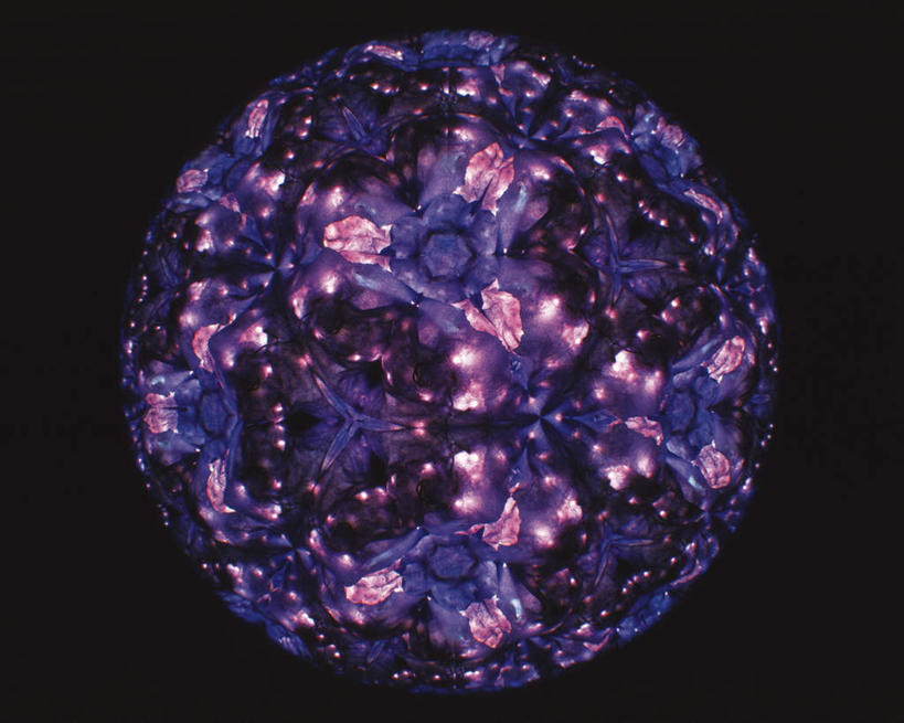 无人,横图,室内,特写,白天,正面,游戏,静物,玩具,万花筒,黑色背景,花纹,艺术,盛开,反射,图案,光,玩,花蕾,娱乐,花,花瓣,花朵,鲜花,一个,紫色,花苞,花蕊,休闲,益智,摄影,影棚,单个,活动,三棱镜,发泄,消遣,智力,光学,宣泄,玩耍,嬉戏,彩图,影棚拍摄,拍摄