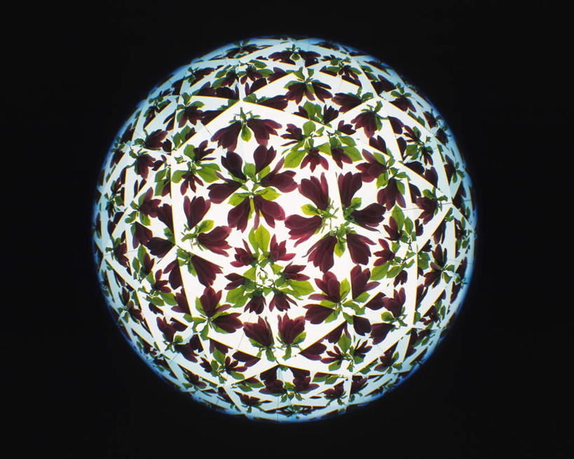 无人,横图,室内,特写,白天,正面,游戏,静物,玩具,万花筒,黑色背景,花纹,艺术,盛开,反射,图案,光,玩,花蕾,娱乐,花,花瓣,花朵,鲜花,一个,绿色,花苞,花蕊,休闲,益智,摄影,影棚,单个,活动,三棱镜,发泄,消遣,智力,光学,宣泄,玩耍,嬉戏,彩图,影棚拍摄,拍摄