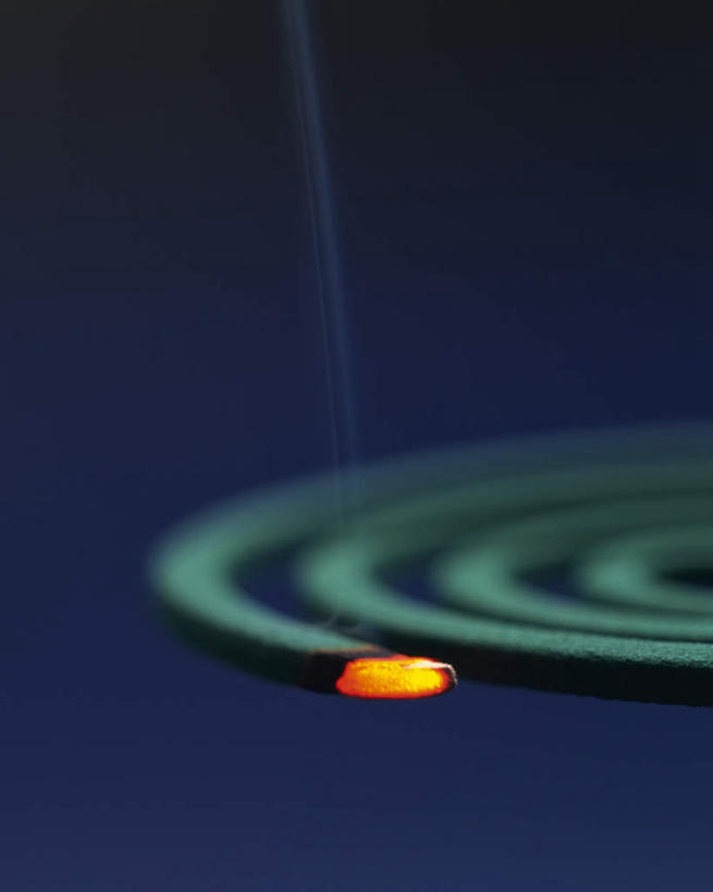 无人,竖图,俯视,室内,特写,白天,静物,蓝色背景,朦胧,模糊,蚊香,驱蚊,一个,黑色,点燃,烟,摄影,影棚,单个,彩图,高角度拍摄,影棚拍摄,拍摄