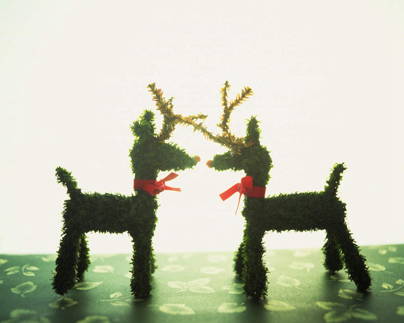 无人,横图,室内,特写,白天,白色背景,正面,桌面,桌子,鹿,静物,玩具,圣诞节,节日,朦胧,模糊,庆祝,装饰,玩偶,文化,两个,绿色,庆典,摄影,影棚,纪念,华丽,修饰,点缀,衬托,美观,雅致,雅观,角鹿,驯鹿,彩图,影棚拍摄,拍摄