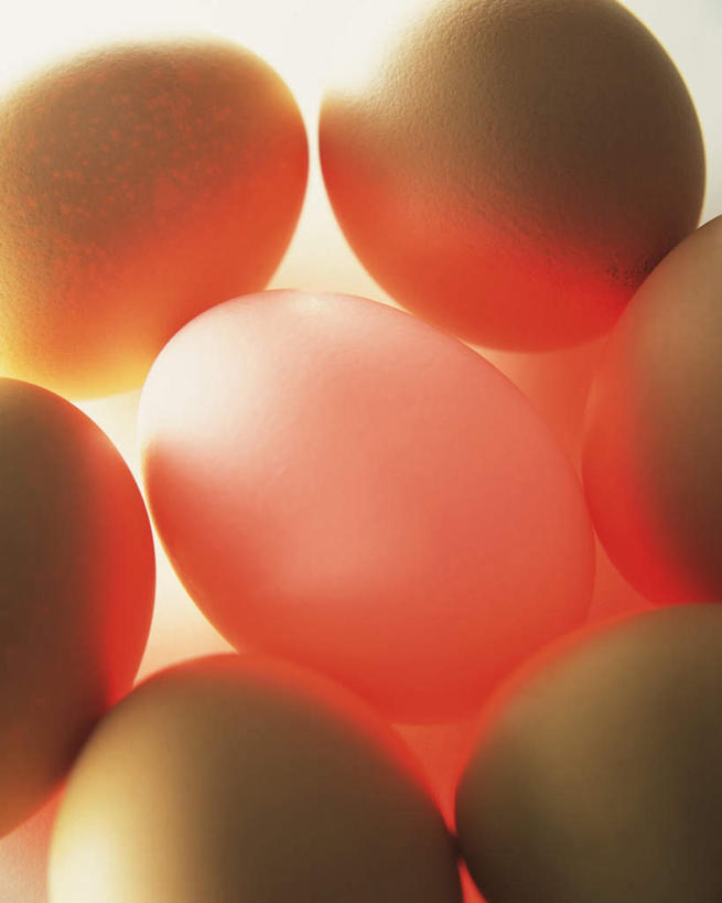 无人,竖图,俯视,室内,特写,白天,白色背景,一堆,许多,堆叠,堆积,环绕,围绕,圆圈,蛋,鸡蛋,摄影,影棚,堆,绕,草鸡蛋,卵,彩图,高角度拍摄,影棚拍摄,拍摄