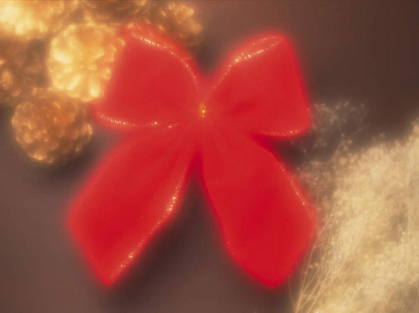 无人,横图,俯视,室内,白天,五个,丝绸,丝带,坚果,果实,松果,绸带,一个,红色,蝴蝶结,干果,摄影,影棚,褐色背景,单个,松塔,彩图,高角度拍摄,影棚拍摄,拍摄