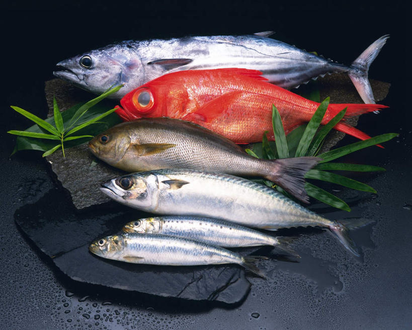 海鲜,无人,横图,俯视,室内,特写,白天,礁石,石头,桌面,叶子,一排,许多,阴影,灰色背景,整齐,反射,鱼,石子,影子,竹叶,绿叶,水产,鱼类,海洋生物,排列,红色,白色,嫩叶,摄影,影棚,队列,水生动物,海产品,水生物,海底动物,叶,叶片,礁,石块,岩石,彩图,高角度拍摄,全身,影棚拍摄,拍摄