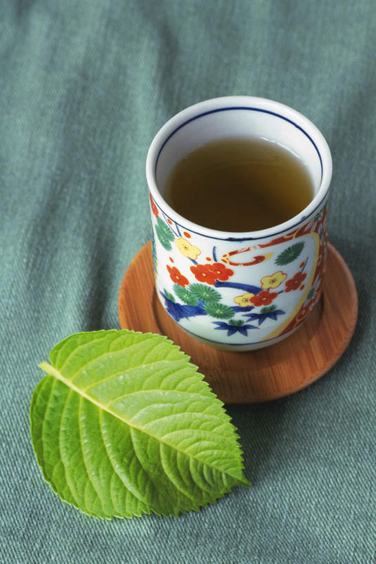 无人,竖图,俯视,室内,特写,白天,水,茶,桌面,杯子,叶子,一片,阴影,花纹,条纹,光线,纹路,布料,图案,液体,影子,水滴,茶道,绿叶,薄荷叶,一杯,布纹,文化,桌布,一个,红色,绿色,白色,灰色,阳光,餐巾,水杯,台布,嫩叶,单个,茶艺,环境,东亚文化,礼法,修行,叶,叶片,叶脉,茶杯,彩图,高角度拍摄,茶文化