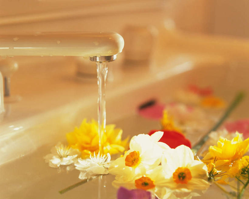 无人,横图,俯视,室内,白天,水,许多,飞溅,朦胧,模糊,盛开,溅,水龙头,液体,水滴,花蕾,开关,水珠,花,花瓣,花朵,鲜花,浴缸,花苞,花蕊,打开,阀门,开启,喷洒,卫浴设备,水咀,水管装置,黄水仙,洋水仙,清洗,彩图,高角度拍摄