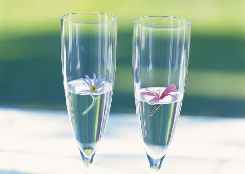 无人,横图,室外,白天,正面,快乐,幸福,植物,桌子,杯子,许多,朦胧,模糊,盛开,玛格丽特,草药,药草,两杯,花蕾,中药,玻璃制品,雏菊,花,花瓣,花朵,鲜花,两个,一朵,水杯,花苞,花蕊,菊花,活力,希望,坚强,药材,中草药,和平,离别,中药材,本草,延命菊,幸福花,春菊,马兰头花,鬼扇,射干,乌吹,乌蒲,乌扇,暗恋,纯情,单恋,天真,玻璃杯,彩图,愉快