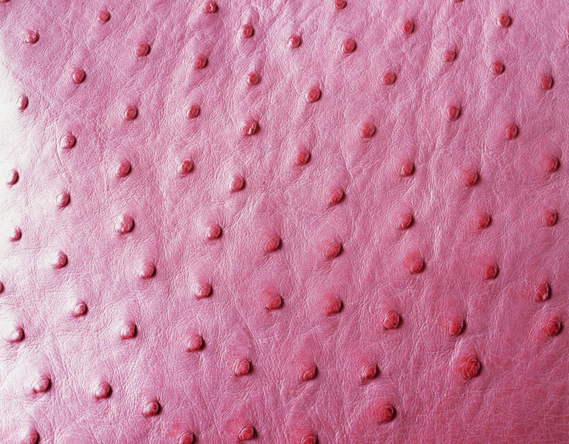 无人,横图,俯视,室内,特写,白天,静物,纺织品,阴影,条纹,反射,纹路,纹理,影子,斑点,皮,织物,布纹,纺织,粉色,红色,摄影,影棚,鸵鸟皮,彩图,高角度拍摄,影棚拍摄,拍摄