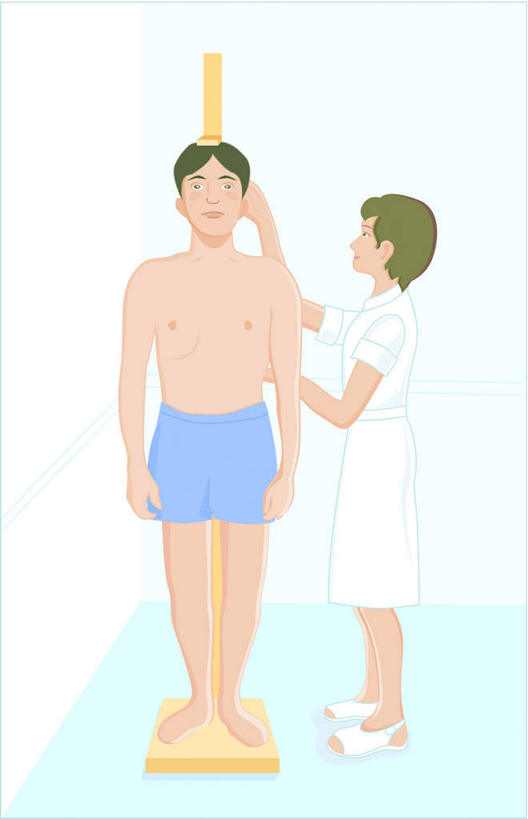 东方人,无人,两个人,病人,护士,站,举,竖图,插画,室内,白天,正面,工作服,制服,数码,科技,亚洲,阴影,网络,墙,高光,几何,计算机图形,合成,图画,注视,黄种人,墙壁,墙面,画,看,托,站着,观看,电脑合成图,数码合成图,体检,白衣天使,关注,漫画,身高测量仪,身高,写实,具体,具象,工作制服,男人,男性,年轻男性,年轻女性,女人,女性,亚洲人,患者,就医者,举起,举手,举着,向上举,向上伸,向上托,站立,彩图,全身,工作套服