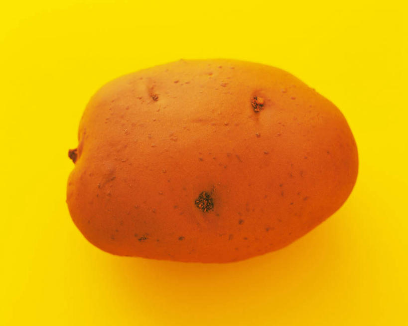 无人,横图,俯视,室内,特写,白天,游戏,蔬菜,土豆,静物,玩具,黄色背景,朦胧,模糊,新鲜,食品,玩,娱乐,食物,一个,休闲,益智,摄影,有机食品,绿色食品,影棚,单个,活动,工艺,粘土,发泄,消遣,智力,橡皮泥,手工艺,馍馍蛋,宣泄,洋芋,山药蛋,马铃薯,玩耍,嬉戏,彩图,高角度拍摄,影棚拍摄,拍摄
