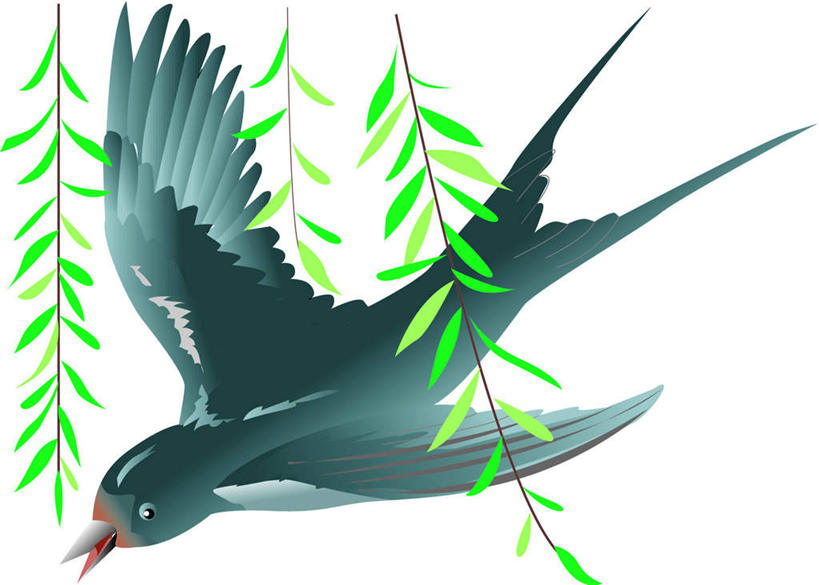 无人,横图,插画,室内,白天,白色背景,侧面,数码,科技,柳树,鸟,燕子,叶子,飞翔,阴影,网络,鸟类,绿叶,枝条,高光,几何,计算机图形,合成,图画,飞,画,一只,绿色,嫩叶,可爱,活泼,电脑合成图,数码合成图,柳条,漫画,写实,具体,具象,家燕,拙燕,叶,叶片,彩图,全身,益鸟