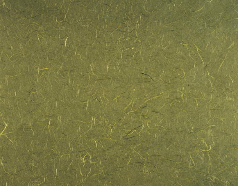 无人,横图,室内,特写,白天,正面,静物,花纹,条纹,日本文化,纹路,纹理,纸,纸张,文化,绿色,摄影,影棚,丝线,肌理,和纸,日本纸,彩图,影棚拍摄,拍摄,传统文化