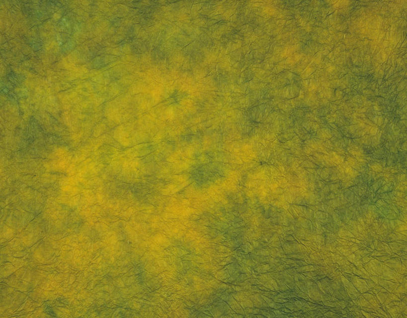 无人,横图,室内,特写,白天,正面,静物,花纹,条纹,日本文化,纹路,纹理,纸,纸张,文化,绿色,摄影,锡纸,影棚,肌理,和纸,日本纸,彩图,影棚拍摄,拍摄,传统文化