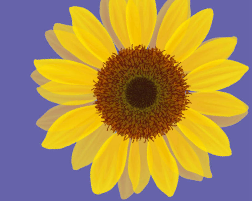 无人,横图,插画,室内,特写,白天,正面,数码,科技,阴影,蓝色背景,盛开,网络,高光,几何,计算机图形,合成,花蕾,图画,画,花,花瓣,花朵,鲜花,一朵,黄色,花苞,花蕊,菊花,电脑合成图,数码合成图,漫画,金光菊,写实,具体,具象,臭菊,黑眼菊,彩图