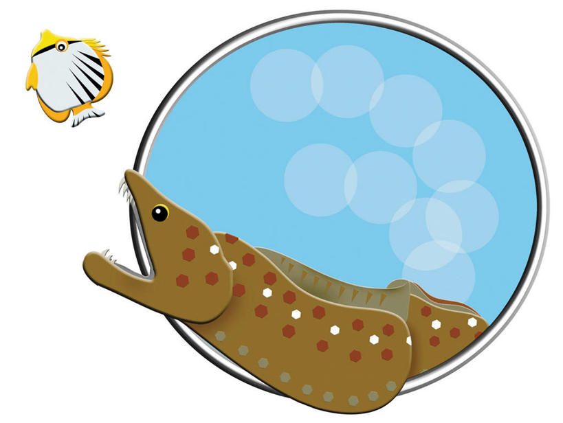 鳗鱼,无人,横图,插画,室内,白天,白色背景,正面,数码,科技,海底,水下,鳄鱼,鳗鲡,野生动物,一条,追逐,阴影,网络,爬行动物,鱼,水底,棕色,高光,几何,计算机图形,合成,图画,鱼类,画,一只,白色,动物,海底世界,电脑合成图,数码合成图,蝴蝶鱼,凶猛,漫画,河鳗,写实,具体,具象,白鳗,青鳝,风馒,黄火箭鱼,黄镊口鱼,火箭蝶,残暴,凶残,海床,白鳝,半身,彩图