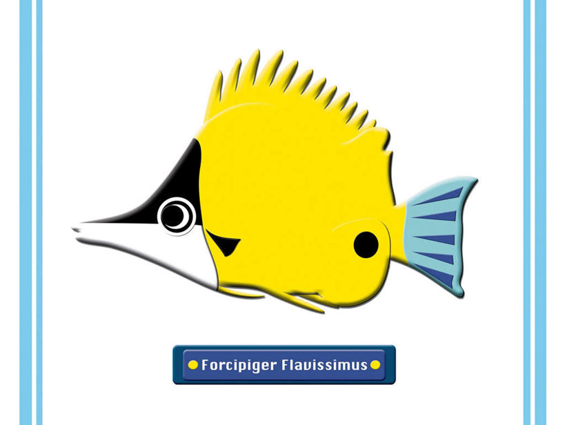 海鲜,无人,横图,插画,室内,白天,白色背景,正面,数码,科技,一条,阴影,网络,英文,鱼,标签,高光,几何,计算机图形,合成,图画,水产,鱼类,海洋生物,画,电脑合成图,数码合成图,水生动物,海产品,水生物,蝴蝶鱼,漫画,海底动物,写实,具体,具象,黄火箭鱼,黄镊口鱼,火箭蝶,彩图,全身