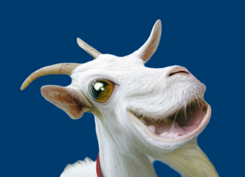 无人,站,横图,室内,特写,白天,正面,数码,科技,野生动物,羊,阴影,蓝色背景,网络,高光,几何,计算机图形,合成,注视,一只,动物,观察,看,站着,张嘴,观看,电脑合成图,数码合成图,察看,关注,张大嘴巴,白山羊,野山羊,写实,具体,具象,北美野山羊,野生白山羊,张开嘴,山羊,站立,半身,彩图