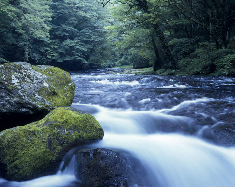 无人,横图,室外,白天,正面,旅游,度假,河流,石头,美景,瀑布,水,日本,亚洲,飞溅,朦胧,模糊,溅,石子,液体,河水,景观,水滴,水流,青苔,苔藓,娱乐,水珠,小溪,自然,溪水,享受,休闲,景色,放松,喷洒,自然风光,东亚,日本国,九州本岛,九州,九州岛,九州地方,熊本,熊本县,菊池溪谷,跌水,石块,岩石,彩图,菊池市